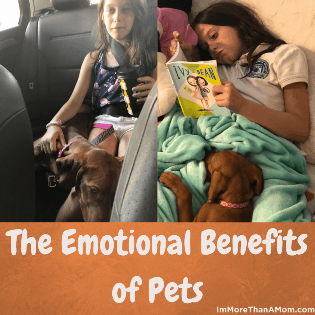 benefits of pets